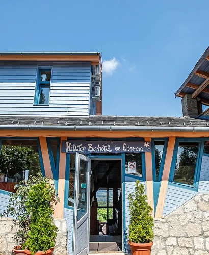 hilltop-borszallo hilltop-borszallo